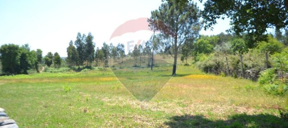  قطعة أرض في Aguiar de Sousa, Portugal 7492متر مربع رقم 43727 6