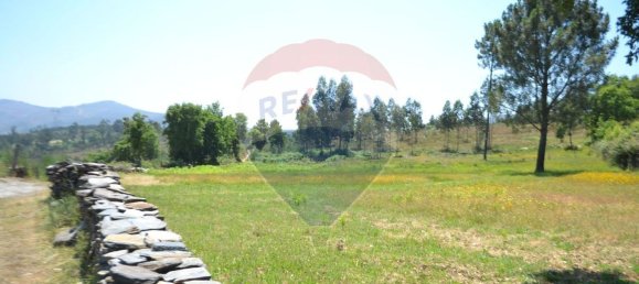  قطعة أرض في Aguiar de Sousa, Portugal 7492متر مربع رقم 43727 17