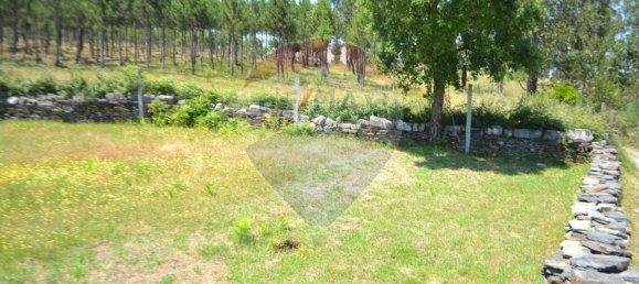  قطعة أرض في Aguiar de Sousa, Portugal 7492متر مربع رقم 43727 8