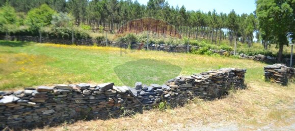  قطعة أرض في Aguiar de Sousa, Portugal 7492متر مربع رقم 43727 22