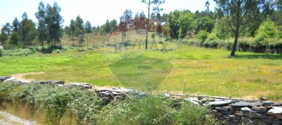  قطعة أرض في Aguiar de Sousa, Portugal 7492متر مربع رقم 43727 25