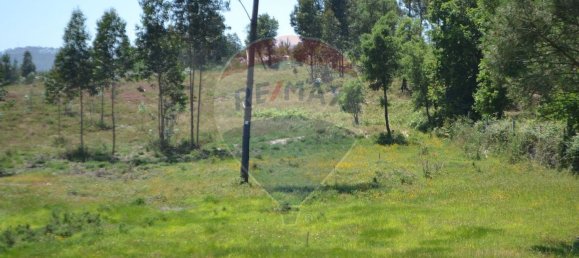  قطعة أرض في Aguiar de Sousa, Portugal 7492متر مربع رقم 43727 11