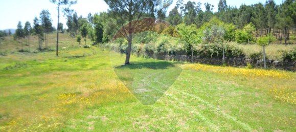  قطعة أرض في Aguiar de Sousa, Portugal 7492متر مربع رقم 43727 26