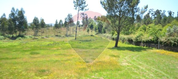  قطعة أرض في Aguiar de Sousa, Portugal 7492متر مربع رقم 43727 23