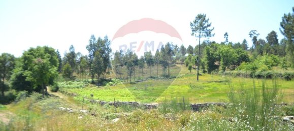  قطعة أرض في Aguiar de Sousa, Portugal 7492متر مربع رقم 43727 5