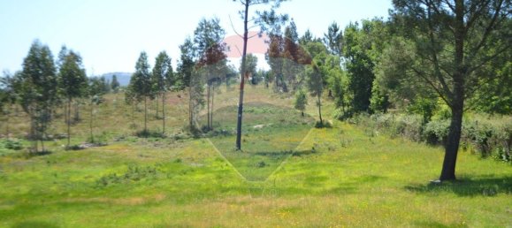  قطعة أرض في Aguiar de Sousa, Portugal 7492متر مربع رقم 43727 9