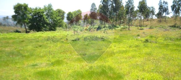  قطعة أرض في Aguiar de Sousa, Portugal 7492متر مربع رقم 43727 18