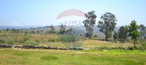  قطعة أرض في Aguiar de Sousa, Portugal 7492متر مربع رقم 43727 30