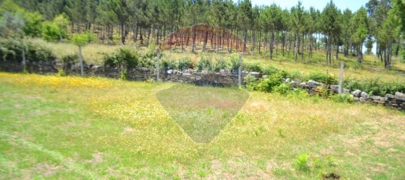  قطعة أرض في Aguiar de Sousa, Portugal 7492متر مربع رقم 43727 21