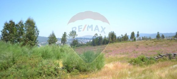  قطعة أرض في Aguiar de Sousa, Portugal 7492متر مربع رقم 43727 36