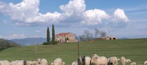 Casa de 7 habitaciónes en Lubriano, Italy No. 88758 9