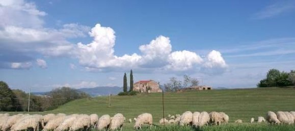 Casa de 7 habitaciónes en Lubriano, Italy No. 88758 4