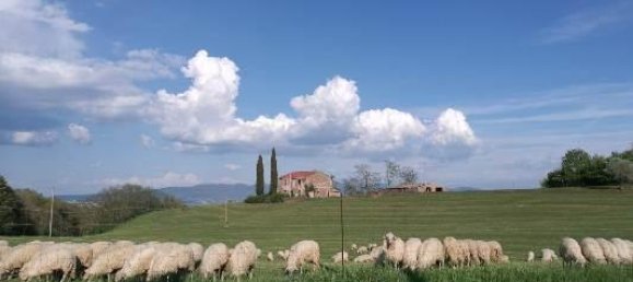 Casa de 7 habitaciónes en Lubriano, Italy No. 88758 3