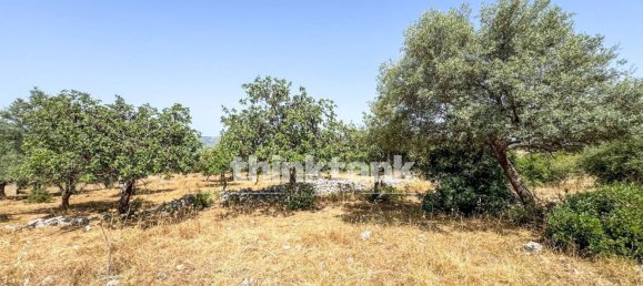 20000m² Land in Solarino, Italy No. 260932 2