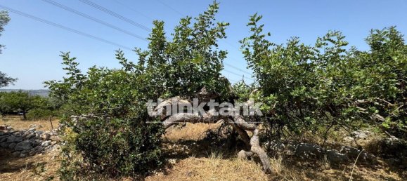 20000m² Land in Solarino, Italy No. 260932 10