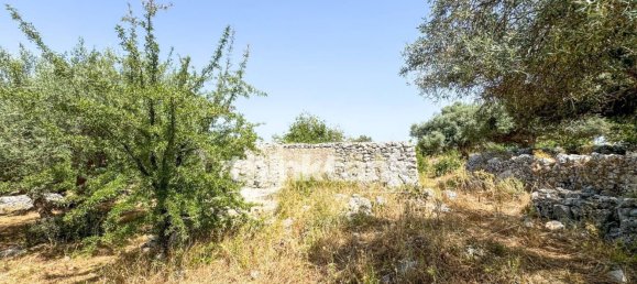 20000m² Land in Solarino, Italy No. 260932 12