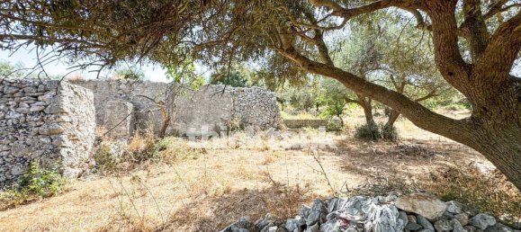 20000m² Land in Solarino, Italy No. 260932 11