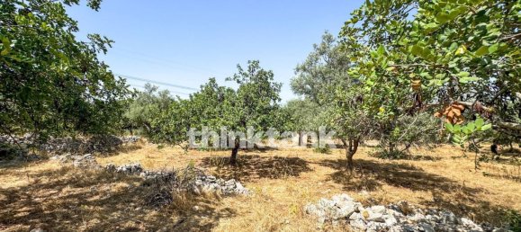 20000m² Land in Solarino, Italy No. 260932 4