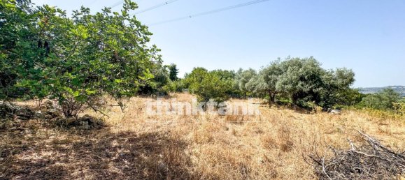 20000m² Land in Solarino, Italy No. 260932 16