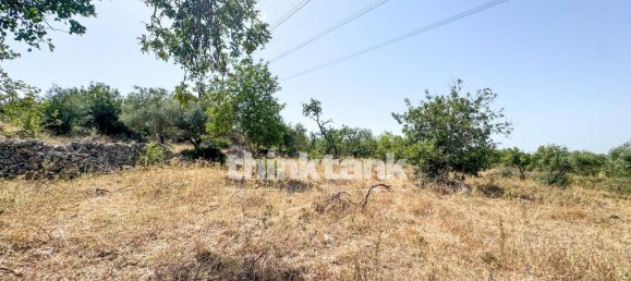20000m² Land in Solarino, Italy No. 260932 20