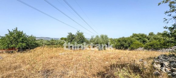 20000m² Land in Solarino, Italy No. 260932 19