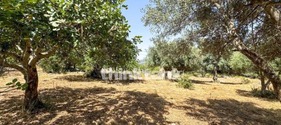 20000m² Land in Solarino, Italy No. 260932 5