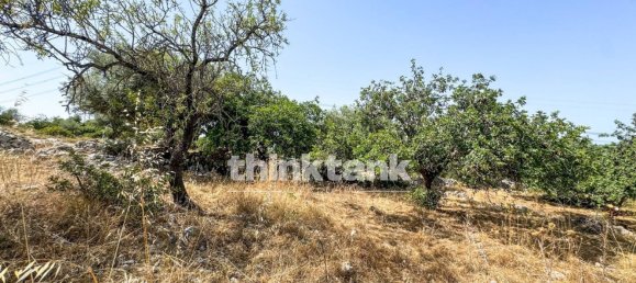 20000m² Land in Solarino, Italy No. 260932 3