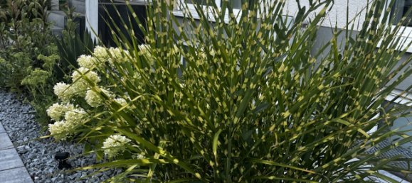 5 bedrooms Townhouse in Main-Kinzig, Germany No. 145160 6