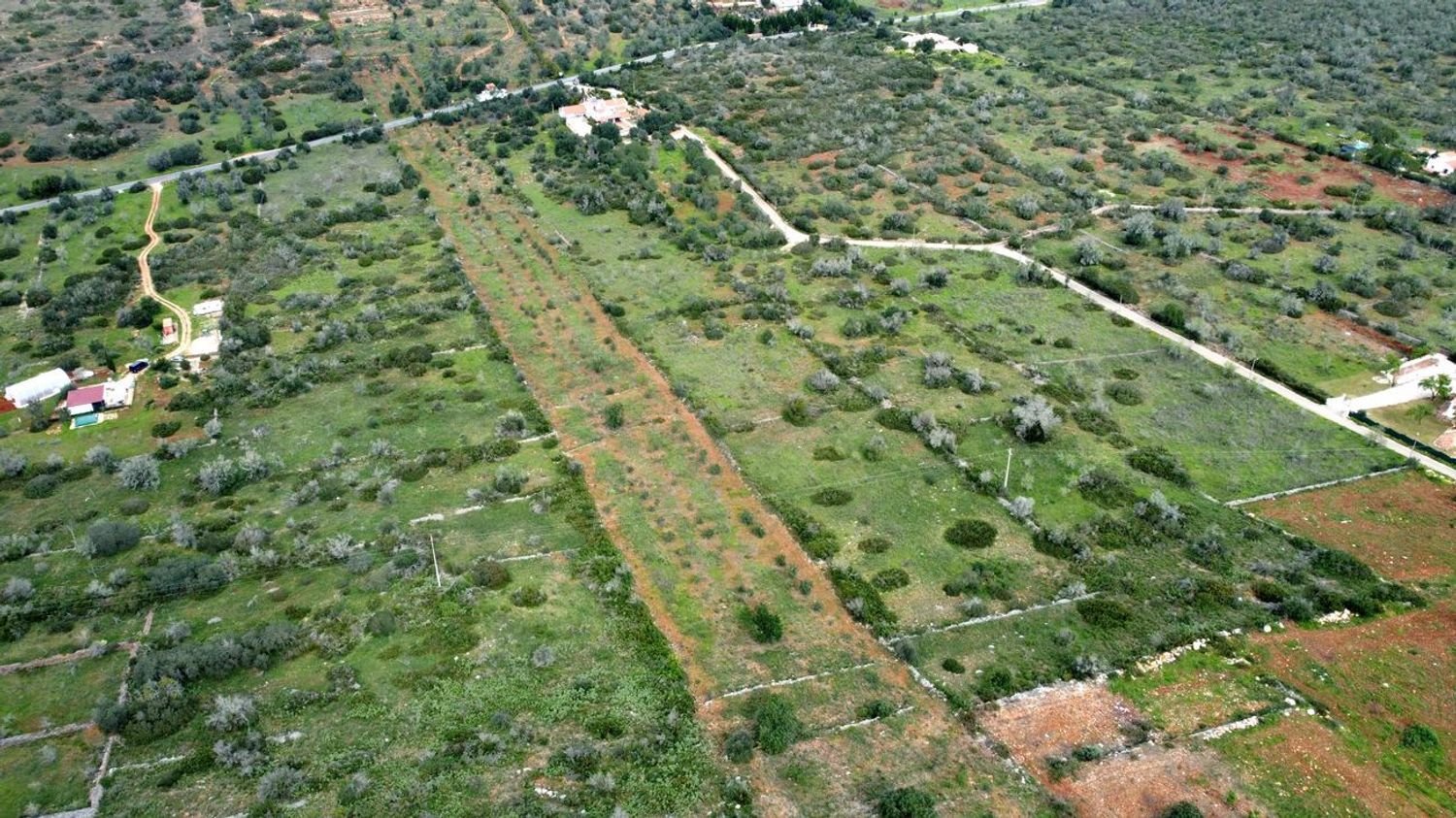 25960m² Land in Sao Bartolomeu de Messines, Portugal No. 72253