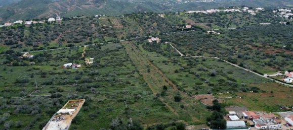 25960m² Land in Sao Bartolomeu de Messines, Portugal No. 72253 3