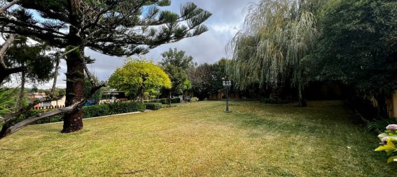 4 bedrooms House in Sintra, Portugal No. 146950 47