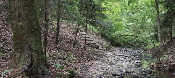 4 rooms House in Grosswilfersdorf, Austria No. 168562 13