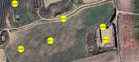 Almacén en Butera, Italy 14880 m² No. 265660 5