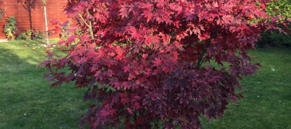 3 Schlafzimmer Bungalow in Mahlsdorf, Germany, Nr. 224461 27