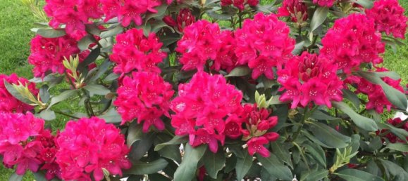 3 Schlafzimmer Bungalow in Mahlsdorf, Germany, Nr. 224461 30