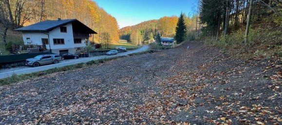  Land in Kaumberg, Austria No. 42601 3