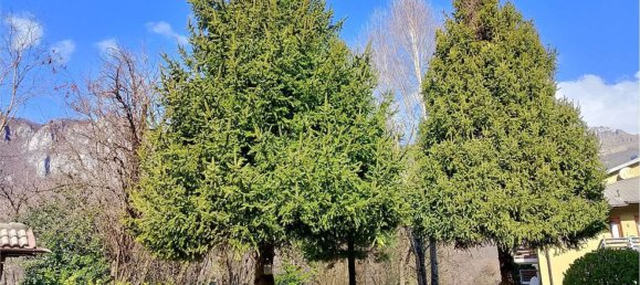 Studio à Ballabio, Italy No. 189474 45