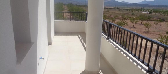 4 bedrooms Villa in Pinoso, Spain No. 11719 12