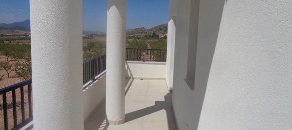 4 bedrooms Villa in Pinoso, Spain No. 11719 13