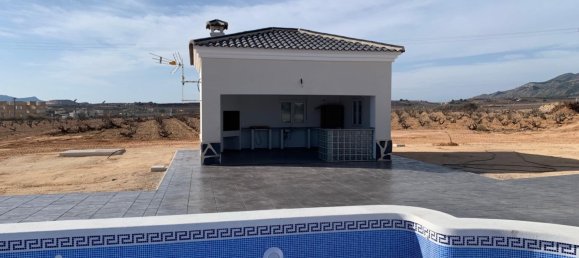 4 bedrooms Villa in Pinoso, Spain No. 11719 4
