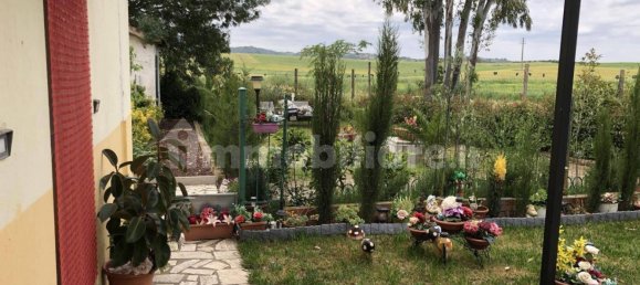 4 Schlafzimmer Haus in Campagnatico, Italy, Nr. 218517 15