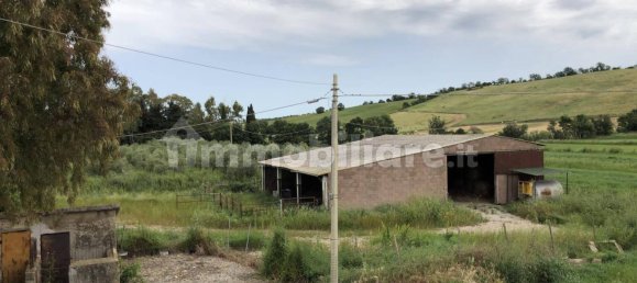 4 Schlafzimmer Haus in Campagnatico, Italy, Nr. 218517 21