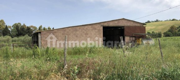 4 Schlafzimmer Haus in Campagnatico, Italy, Nr. 218517 10