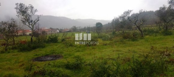 Grundstück in Soalhaes, Portugal 22740m², Nr. 49762 32