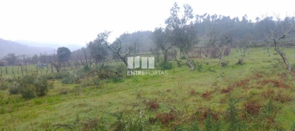 Grundstück in Soalhaes, Portugal 22740m², Nr. 49762 6