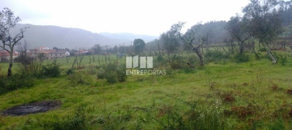 Grundstück in Soalhaes, Portugal 22740m², Nr. 49762 26