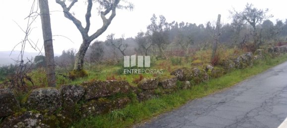 Grundstück in Soalhaes, Portugal 22740m², Nr. 49762 33