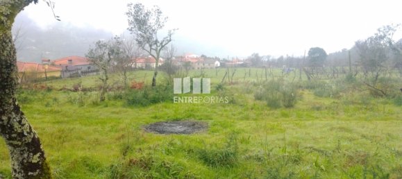 Grundstück in Soalhaes, Portugal 22740m², Nr. 49762 14