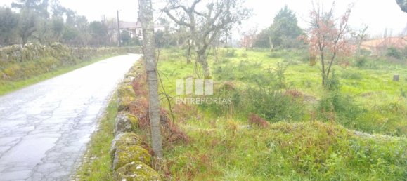 Grundstück in Soalhaes, Portugal 22740m², Nr. 49762 28