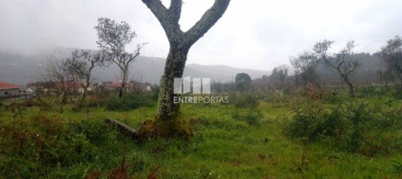 Grundstück in Soalhaes, Portugal 22740m², Nr. 49762 38